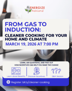 Make the Switch: From Gas to Cleaner Induction Cooking