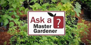 Ashland Library Event - HYBRID: Ask A Master Gardener Panel with the Ashland Garden Club